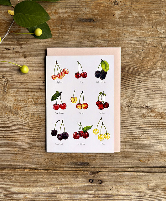 kartki okolicznościowe - wydruki Cherries- Kartka- Grafika- Ilustracja- Owoce