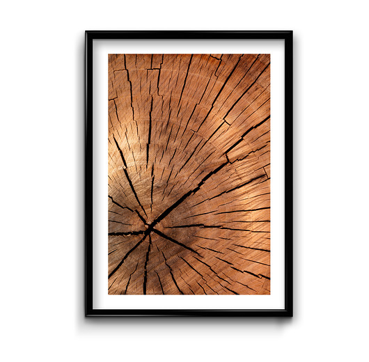 plakaty Plakat Drewno  No. 2 