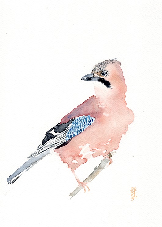 obrazy Oryginalna akwarela. Sójka