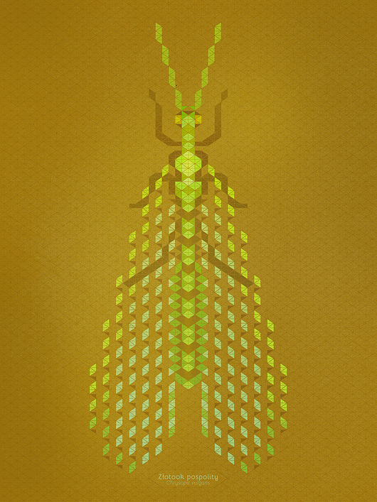 grafiki i ilustracje INSEKTARIUM Złotook