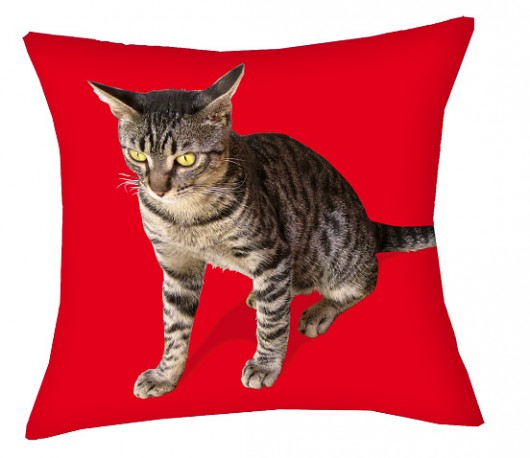 Kot z Krety rodem poduszka 36cm AT design