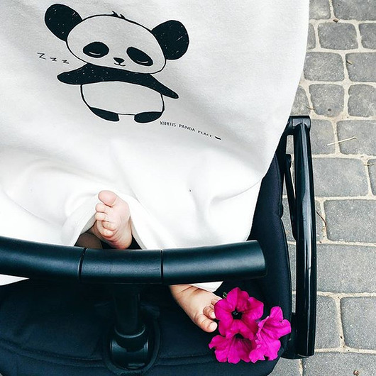 Osłona przeciwsłoneczna o wózka Panda Kurtis