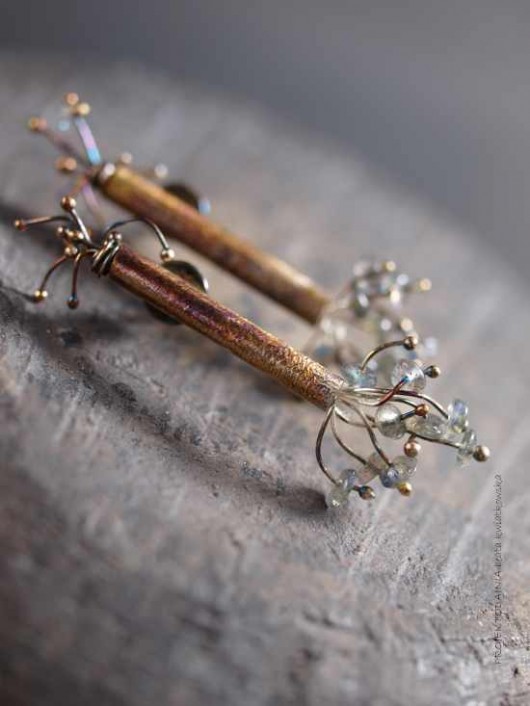 Loligo vulgaris Garfish Art Gallery