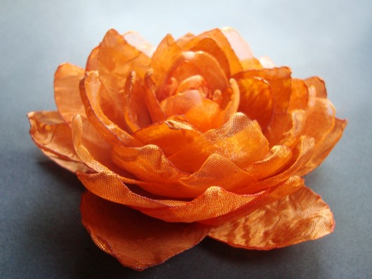 POMARAŃCZKA SundayRose