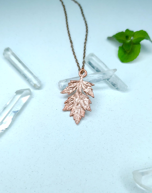 wisiory Bylica pospolita- ochrona