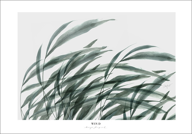 grafiki i ilustracje Wind  100x70 cm