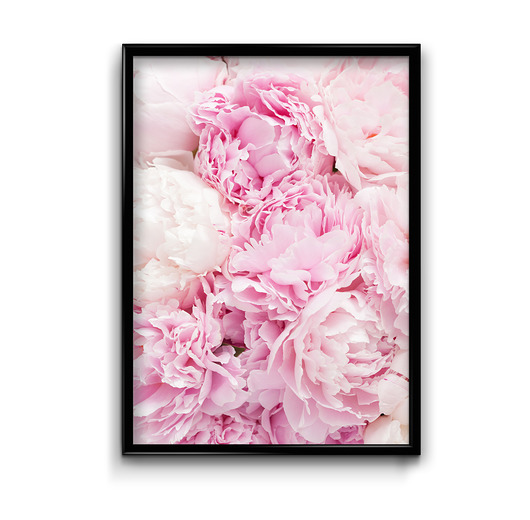 Plakat Pink peony #2  Bury Lis