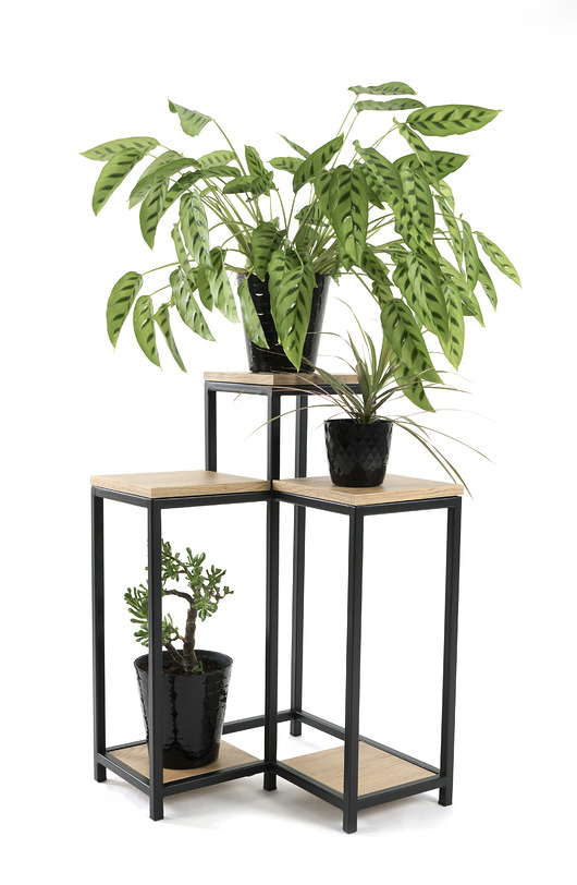 kwietniki Kwietnik potrójny - czarny - dąb