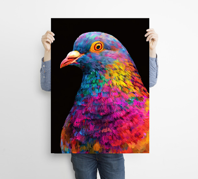 plakaty Gołąb - grafika na plakacie