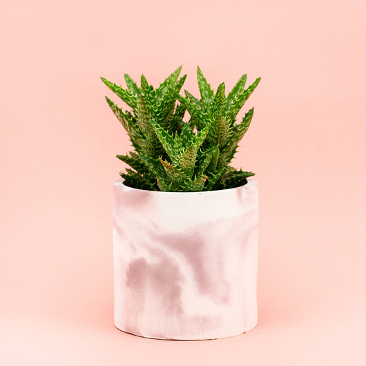 doniczki Doniczka designerska okrągła Pink Marble 10 cm