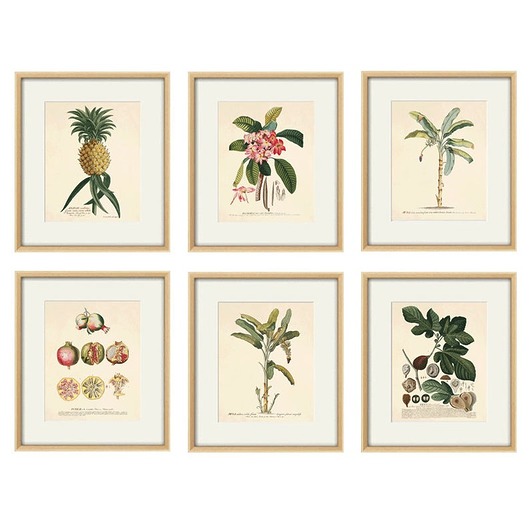 Rysunek botaniczny kwiaty grafika na prezent Victorian wall art