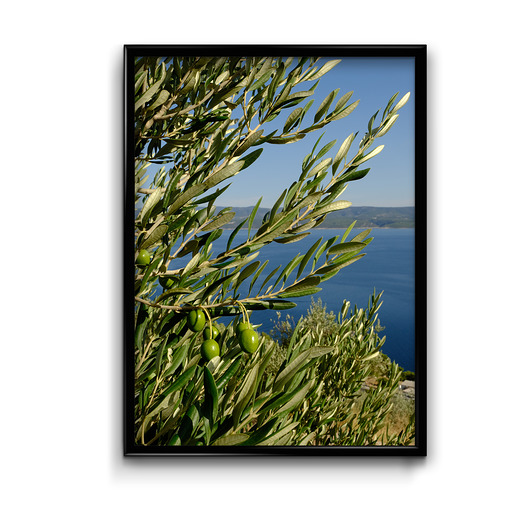 plakaty Plakat Dalmacja no.2