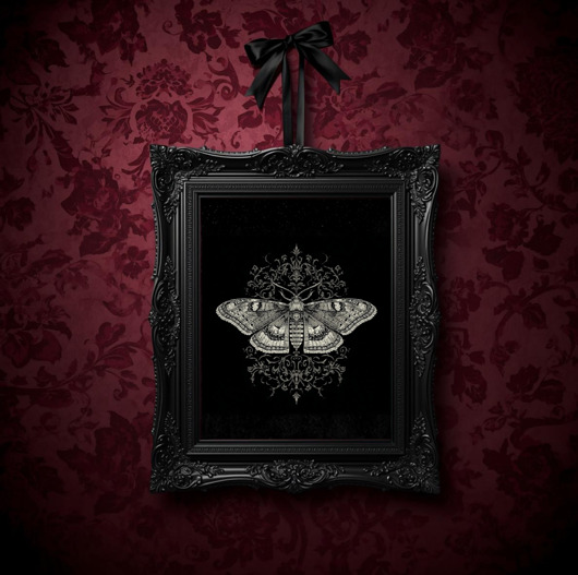 grafiki i ilustracje PLAKAT dekoracja gotycka  ćma sztuka ścienna koronka