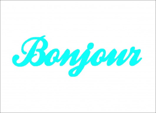SREBRNY napis BONJOUR zamówienie specjalne Rabose Workshop