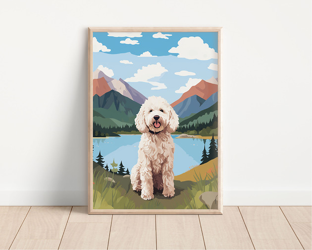 plakaty Plakat lagotto romagnolo
