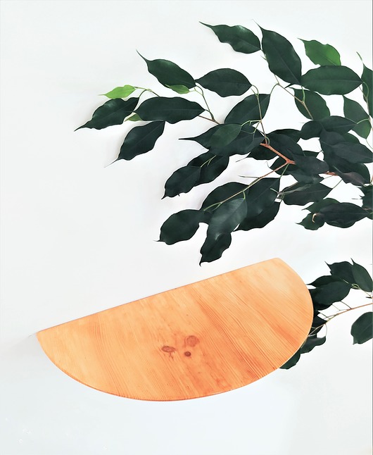 półki DREWNIANA PÓŁKA PÓŁOKRĄGŁA - Sosnowa