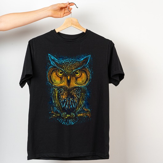Koszulka z nadrukiem Owl colour ART ORGANIC
