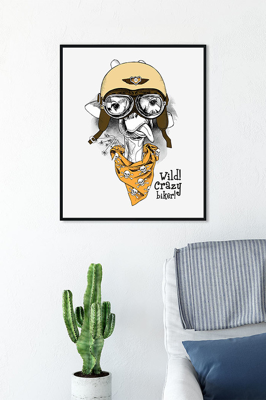 plakat. Freerider studioixi