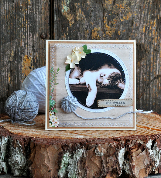kartki scrapbooking Kartka z kotem