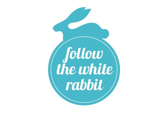 zamówienie specjalne: poduszka sowa + lis FOLLOW THE WHITE RABBIT