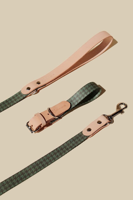 smycze i obroże dla psów i kotów Smycz miejska Green Pepit / Nude Leather