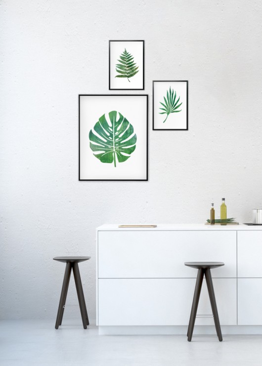 Komplet grafik botanicznych - liście tropikalne HUS