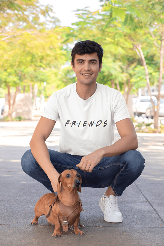 t-shirty męskie męska koszulka Friends