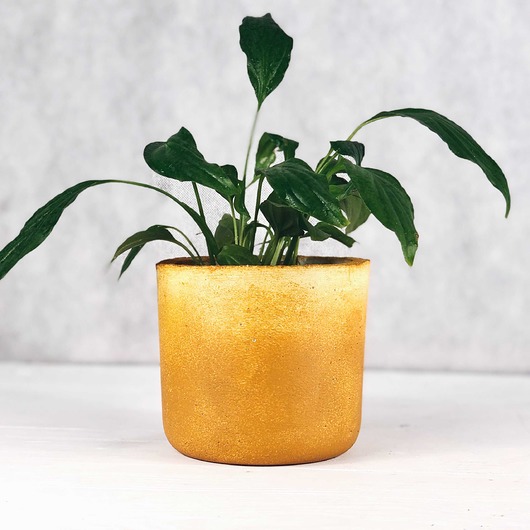 Doniczka B-12 Ochre Betonove