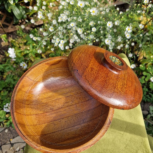 skrzynki, kufry i pudła Szatułka Medei na zioła