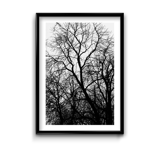 Plakat Forest #1  Bury Lis