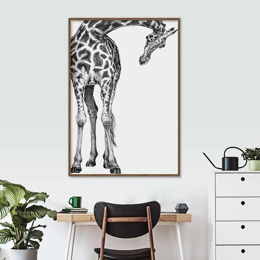plakaty Plakat Żyrafa 70x100
