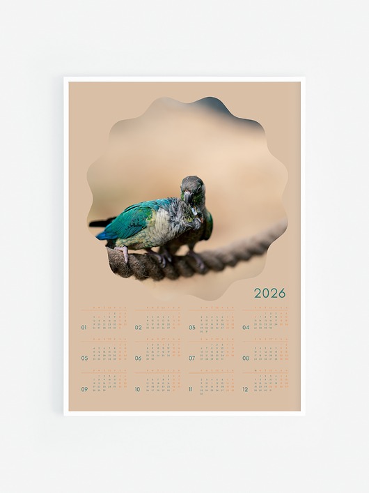 kalendarze i plannery 2026 Kalendarz VIII