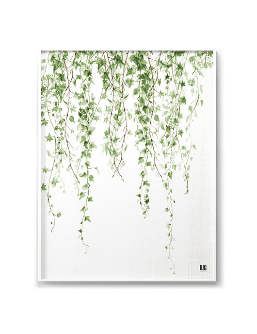 plakaty Plakat Bluszcz Pion roz. 50x70 cm
