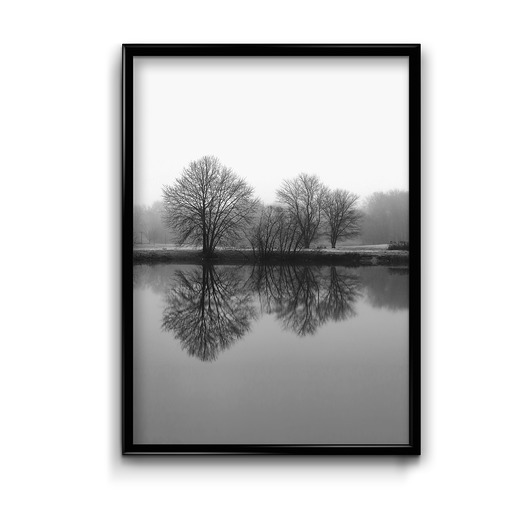 Plakat Drzewa odbicie  Bury Lis
