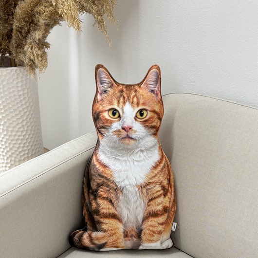 poduszki z grafiką Poduszka Dekoracyjna Kot Rudy Pręgowany Z Białymi Łatkami