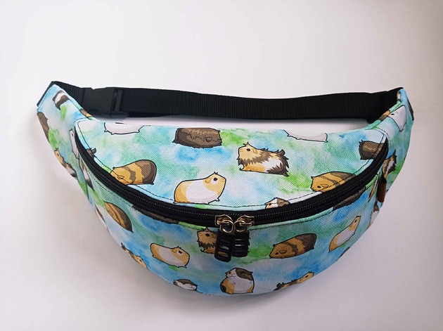 saszetka nerka Nerka świnki morskie na niebieskim tle