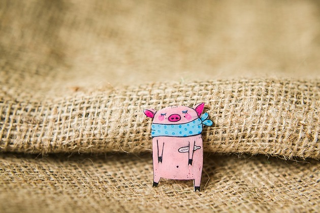 broszki Broszka chora świnka Gienia