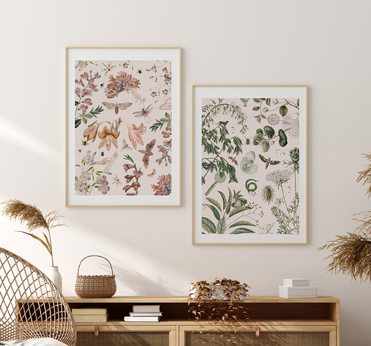 grafiki i ilustracje Plakat Botanical stories zestaw 50x70 cm