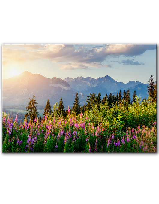 obrazy Obraz na płótnie - 100x70 cm Tatry (1-0724)