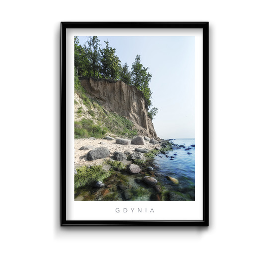 Plakat Gdynia  Bury Lis