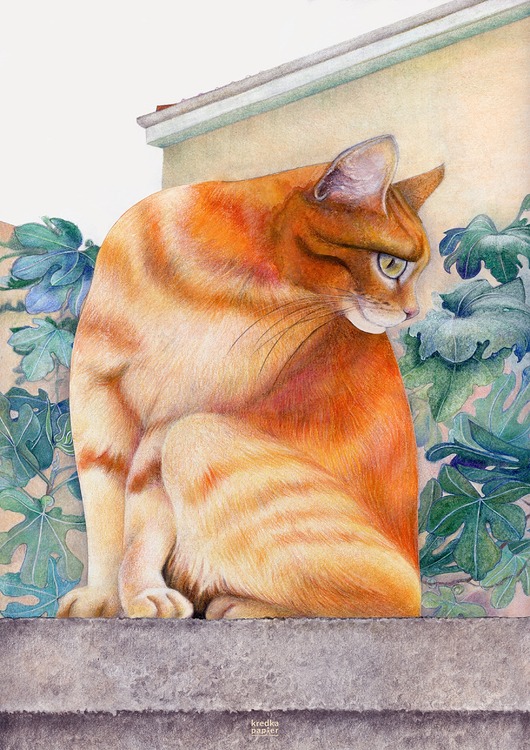 plakaty Plakat Il gatto