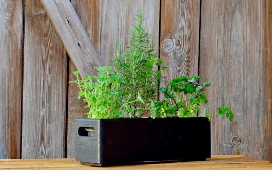 doniczki Skrzynka na zioła 