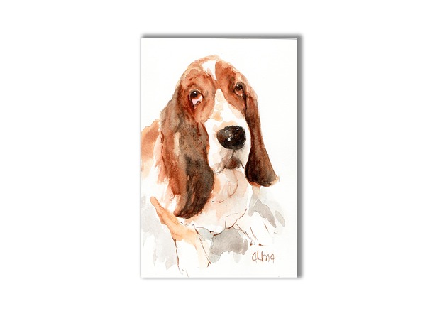grafiki i ilustracje Basset hound akwarela ręcznie malowana