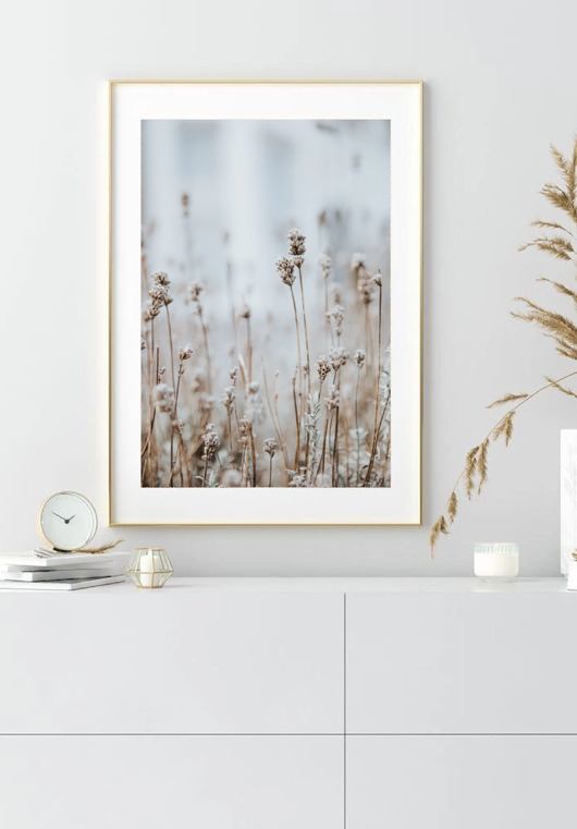 plakaty PLAKAT trawa beżowy natura z rośliną