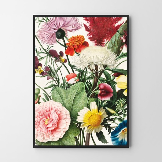 plakaty Plakat Kwiaty w kadrze