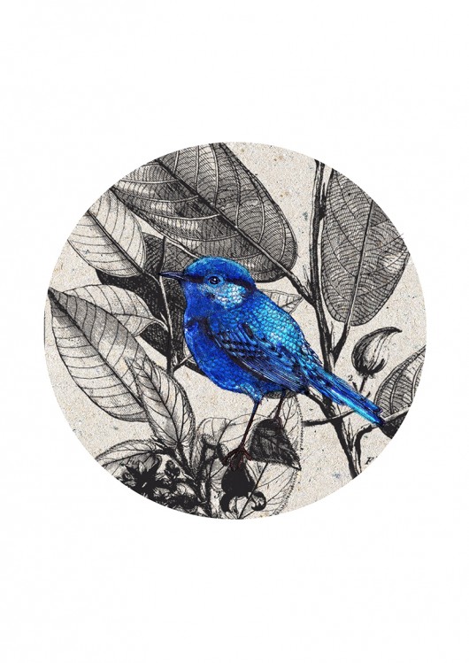 blue  vintage BOSKE