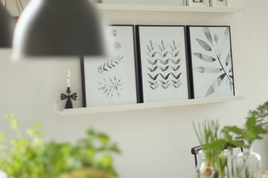 Komplet trzech plakatów botanicznych Margo Hupert
