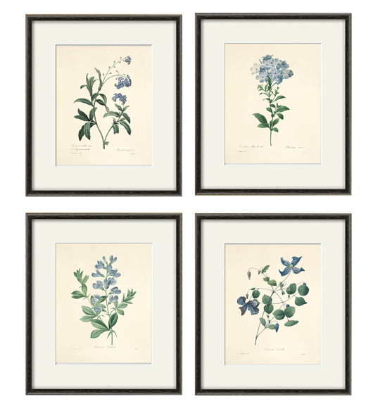grafiki i ilustracje Kwiaty Ilustracja Druk Botaniczny prezent stara Grafika Rysunek