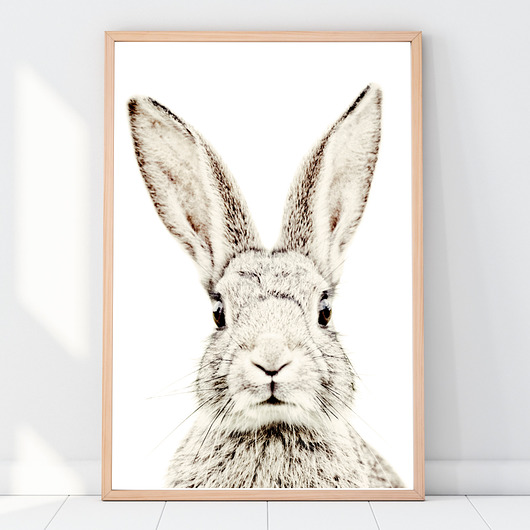 PLAKAT, OBRAZEK królik sepia Dekoracjan