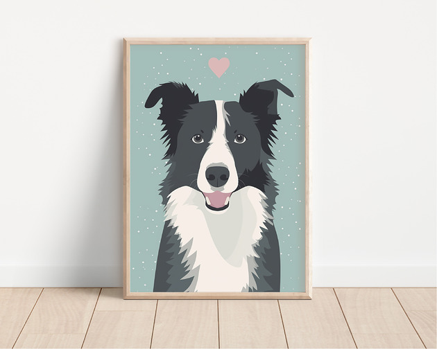 plakaty Plakat border collie